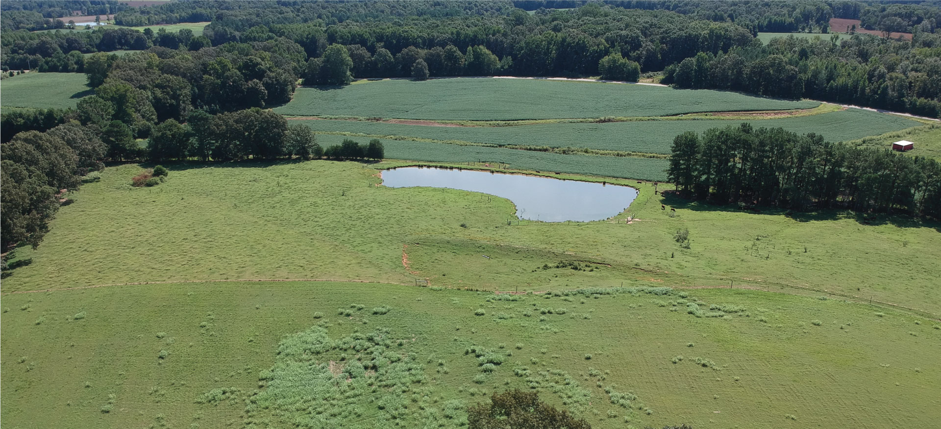 Aerial shot #2 - body of water