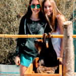 2 teenage girls with southland safari animals