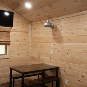 safari animal encounters near atlanta